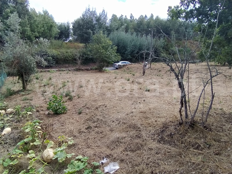 Terreno  Tondela, Mouraz e Vila Nova da Rainha - 1352980 - 1