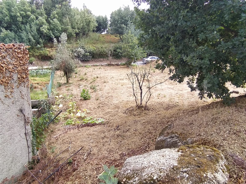 Terreno  Tondela, Mouraz e Vila Nova da Rainha - 1352980 - 2