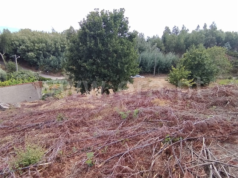 Terreno  Tondela, Mouraz e Vila Nova da Rainha - 1352980 - 3