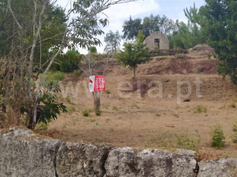 Terreno  Tondela, Mouraz e Vila Nova da Rainha - 1352980 - 6