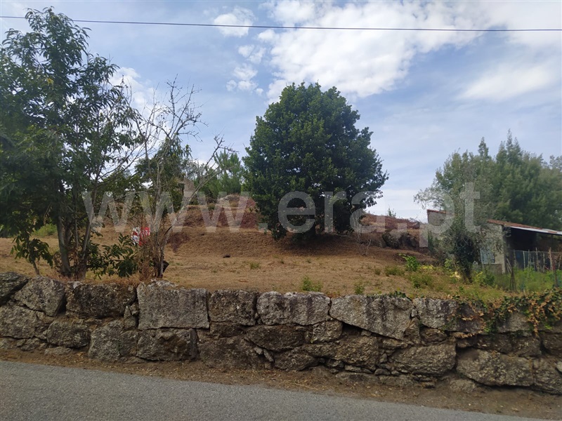 Terreno  Tondela, Mouraz e Vila Nova da Rainha - 1352980 - 7