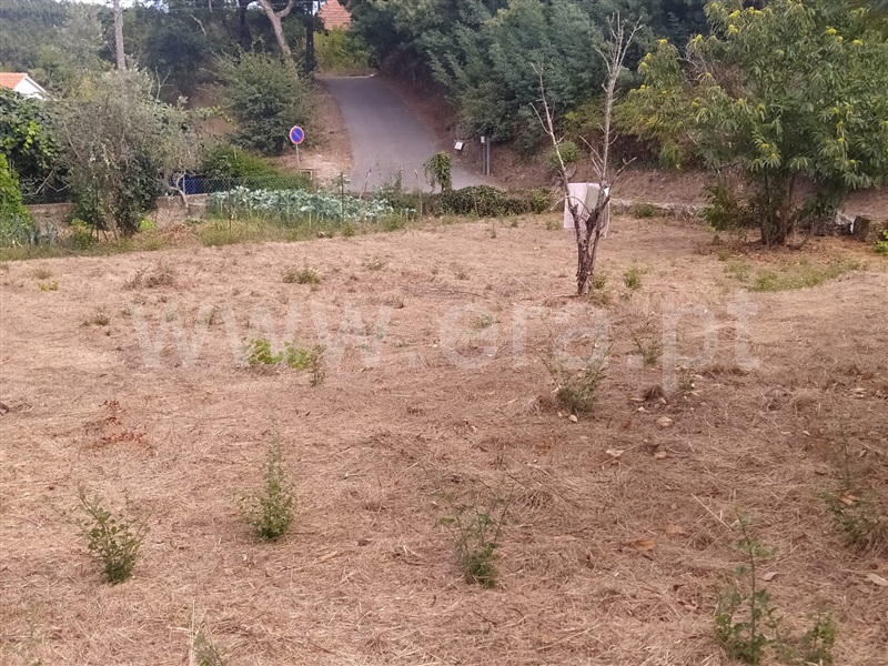 Terreno  Tondela, Mouraz e Vila Nova da Rainha - 1352980 - 8