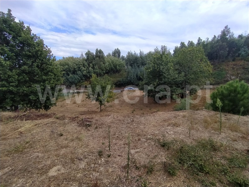 Terreno  Tondela, Mouraz e Vila Nova da Rainha - 1352980 - 9