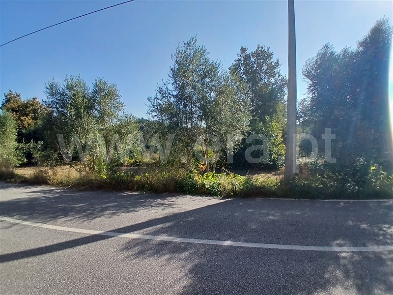 Terreno T0 Tondela, Mouraz e Vila Nova da Rainha - 1510585 - 3