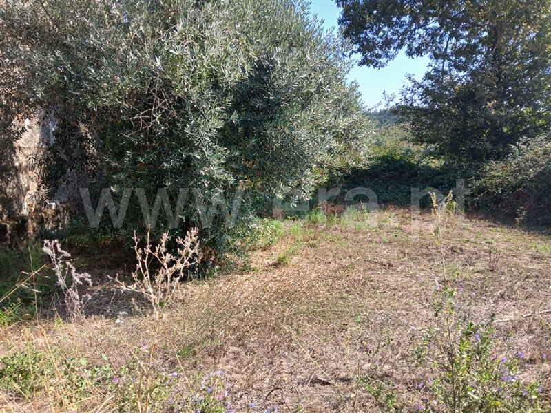 Terreno T0 Tondela, Mouraz e Vila Nova da Rainha - 1510585 - 10