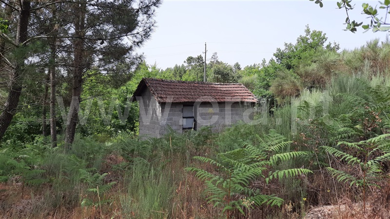 Terreno / Tondela, Parada de Gonta