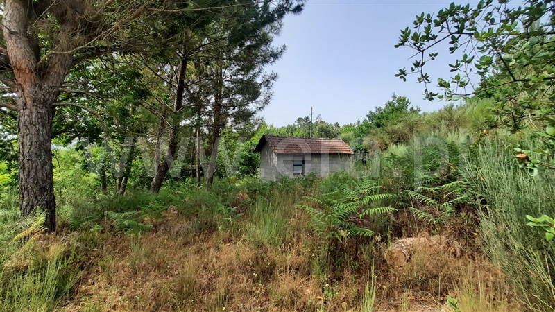 Terreno  Tondela, Parada de Gonta - 1256181 - 2