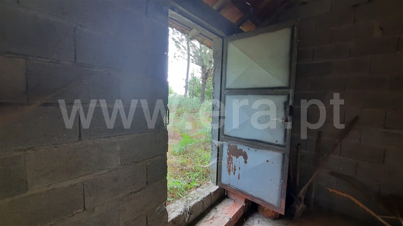 Terreno  Tondela, Parada de Gonta - 1256181 - 3