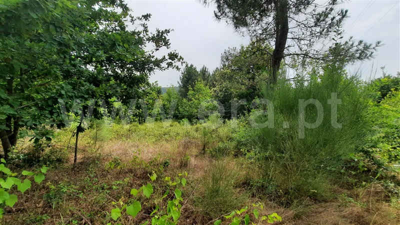 Terreno  Tondela, Parada de Gonta - 1256181 - 4