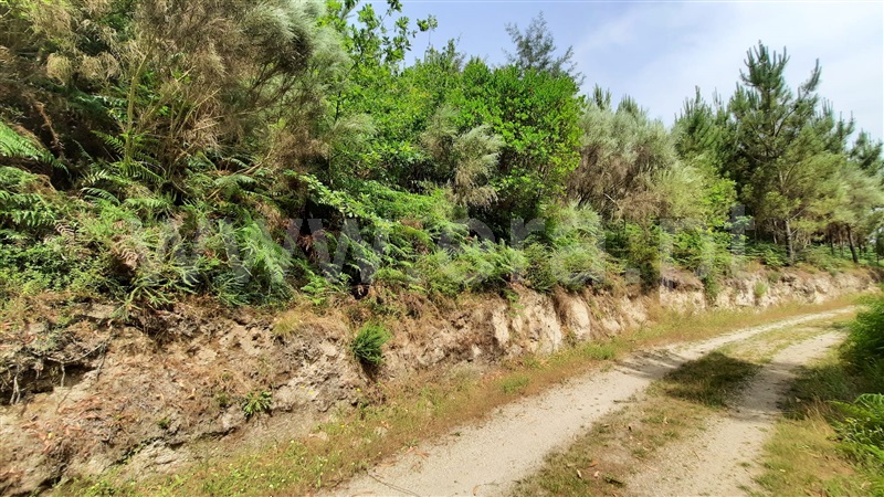 Terreno  Tondela, Parada de Gonta - 1256181 - 8