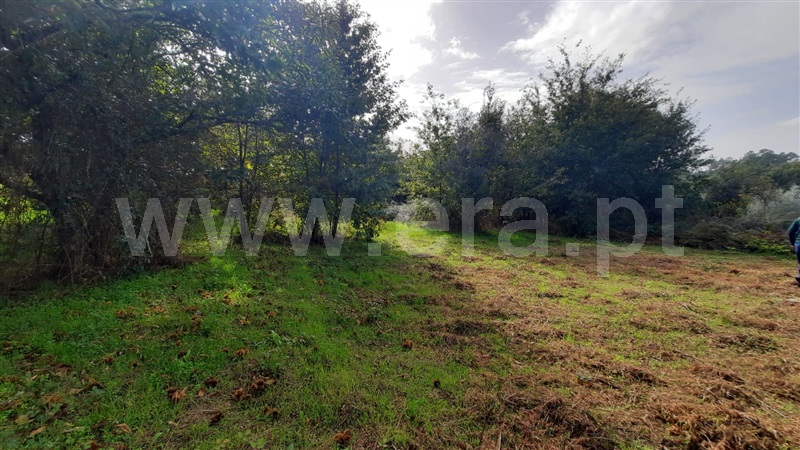 Terreno  Tondela, Póvoa da Catarina - 1476540 - 1