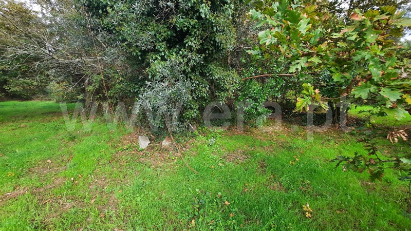Terreno  Tondela, Póvoa da Catarina - 1476540 - 2