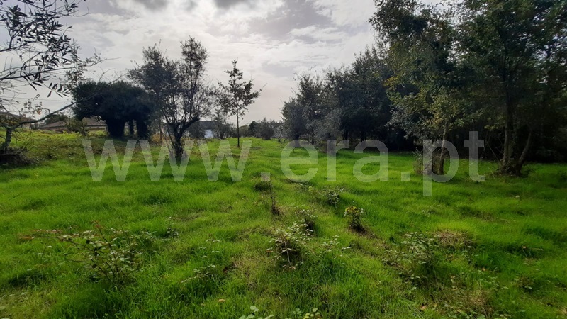Terreno  Tondela, Póvoa da Catarina - 1476540 - 3