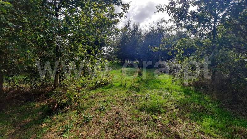 Terreno  Tondela, Póvoa da Catarina - 1476540 - 4