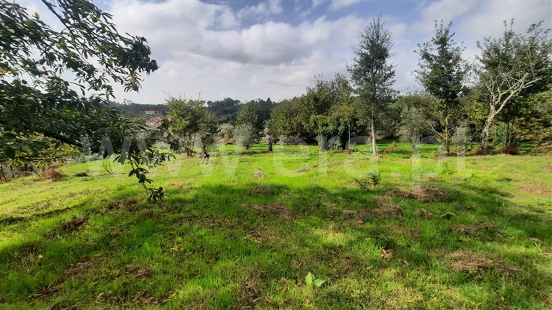 Terreno / Tondela, Póvoa da Catarina