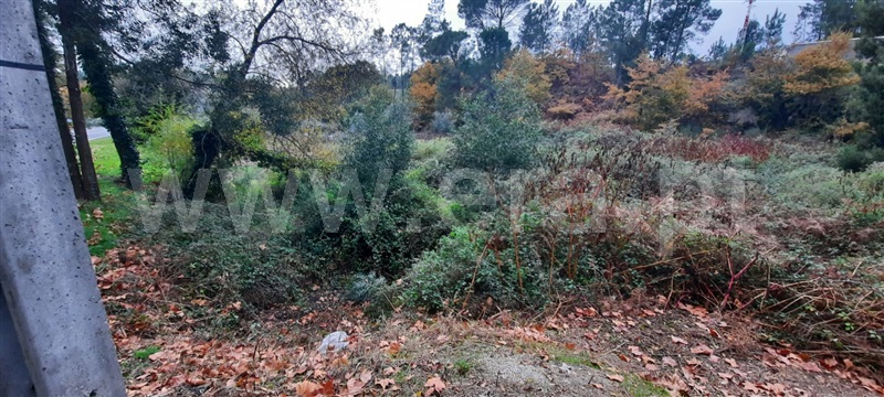 Terreno  Tondela, São Miguel do Outeiro e Sabugosa - 1218441 - 3