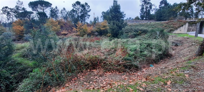 Terreno  Tondela, São Miguel do Outeiro e Sabugosa - 1218441 - 2
