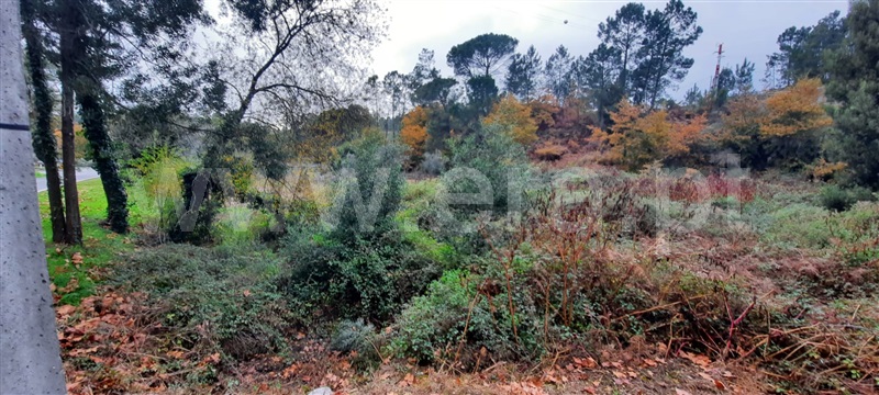 Terreno  Tondela, São Miguel do Outeiro e Sabugosa - 1218441 - 5
