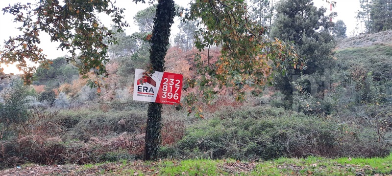 Terreno / Tondela, São Miguel do Outeiro e Sabugosa