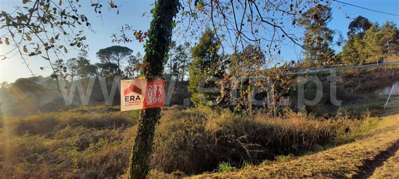 Terreno  Tondela, São Miguel do Outeiro e Sabugosa - 1218441 - 7
