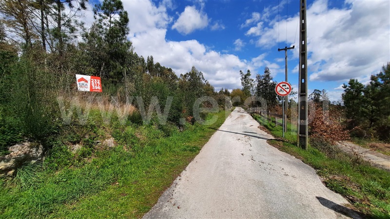 Terreno / Tondela, São Miguel do Outeiro e Sabugosa