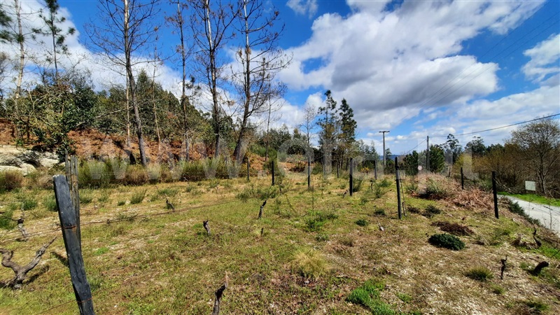 Terreno  Tondela, São Miguel do Outeiro e Sabugosa - 1469371 - 4