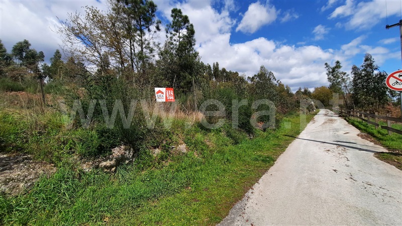 Terreno  Tondela, São Miguel do Outeiro e Sabugosa - 1469371 - 8