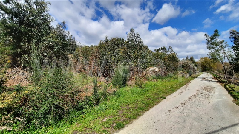 Terreno  Tondela, São Miguel do Outeiro e Sabugosa - 1469371 - 9