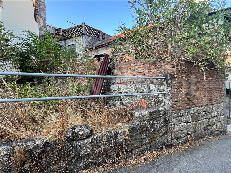 Terreno / Tondela, São Miguel do Outeiro e Sabugosa