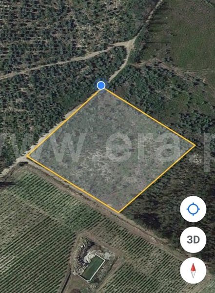 Terreno  Tondela, Tonda - 1356725 - 1