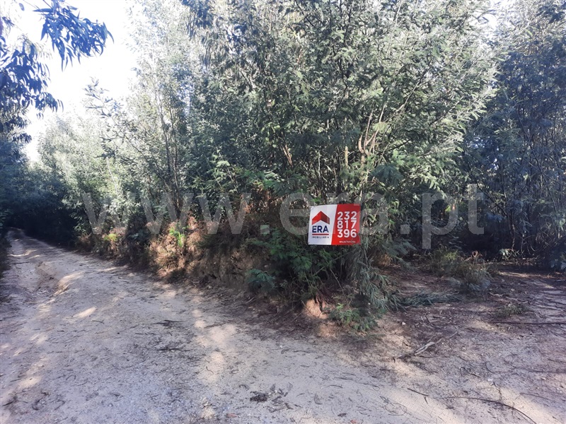 Terreno  Tondela, Tonda - 1356725 - 2