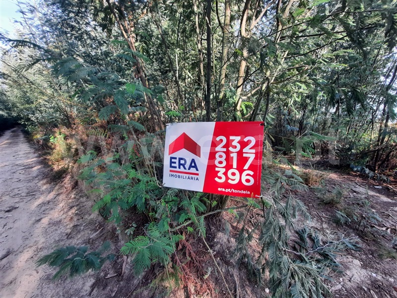 Terreno  Tondela, Tonda - 1356725 - 4
