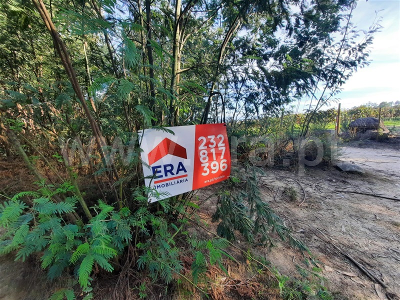 Terreno  Tondela, Tonda - 1356725 - 5