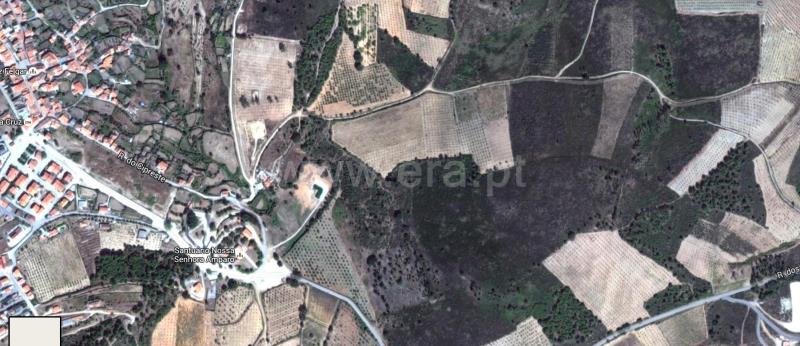 Terreno / Torre de Moncorvo, Felgar e Souto da Velha