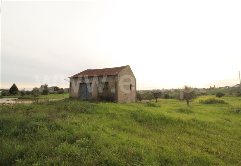 Terreno / Torres Novas, Brogueira, Parceiros de Igreja e Alcorochel