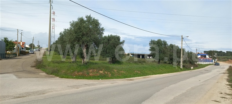 Terreno / Torres Novas, ENTC - Igreja Nªa Sra. Fátima
