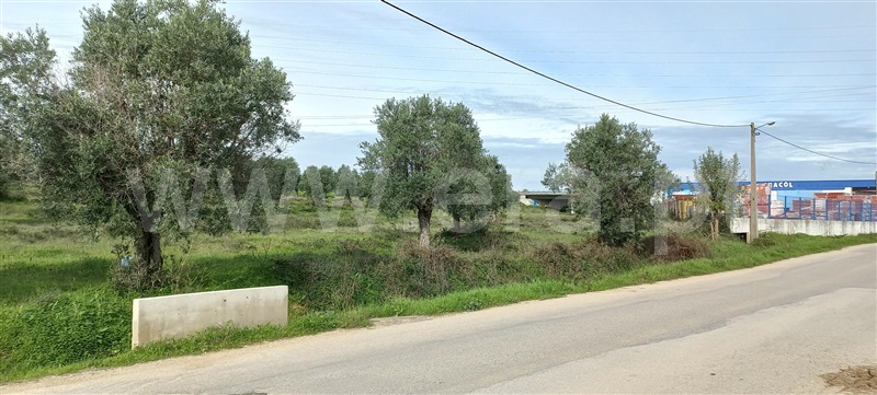 Terreno  Torres Novas, ENTC - Igreja Nªa Sra. Fátima - 1289916 - 2