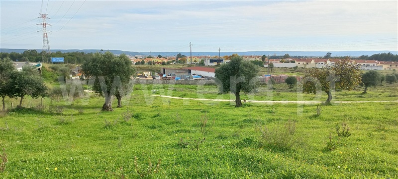 Terreno  Torres Novas, ENTC - Igreja Nªa Sra. Fátima - 1289916 - 7