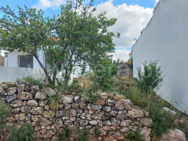 Terreno com ruina  Torres Novas, Liteiros - 1323994 - 18
