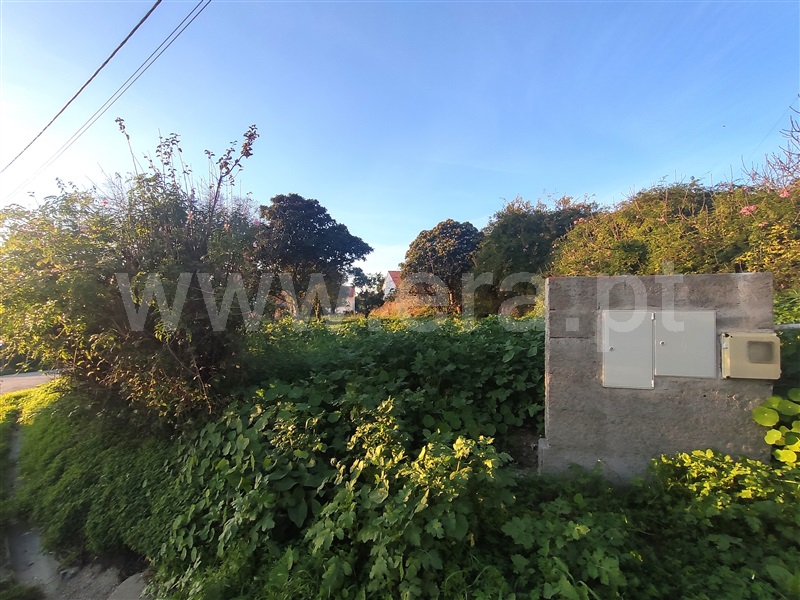 Terreno  Torres Novas, Olaia e Paço - 1433802 - 6