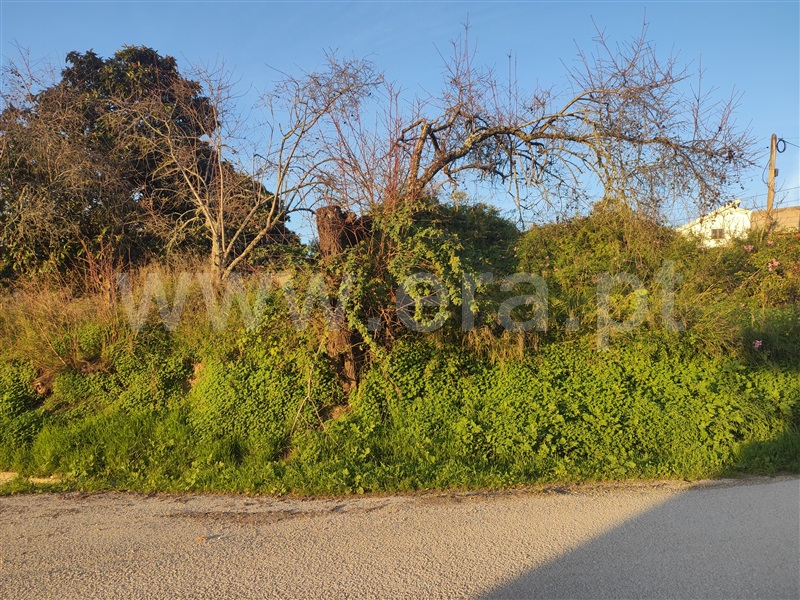 Terreno  Torres Novas, Olaia e Paço - 1433802 - 12
