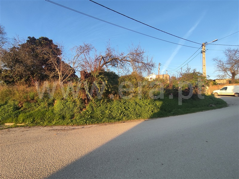 Terreno  Torres Novas, Olaia e Paço - 1433802 - 13