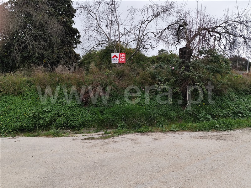 Terreno  Torres Novas, Olaia e Paço - 1433802 - 18
