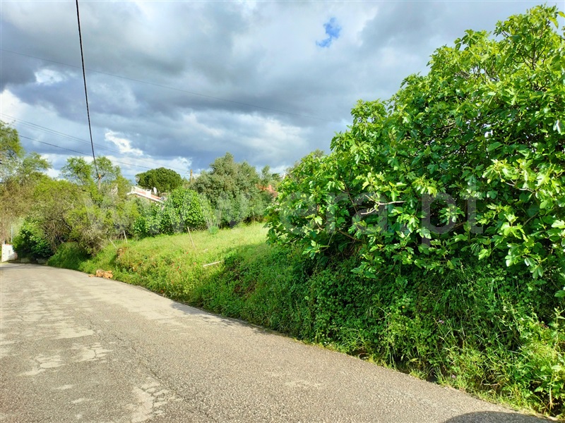 Terreno  com Urbano Torres Novas, Pedrogão - 1476829 - 2
