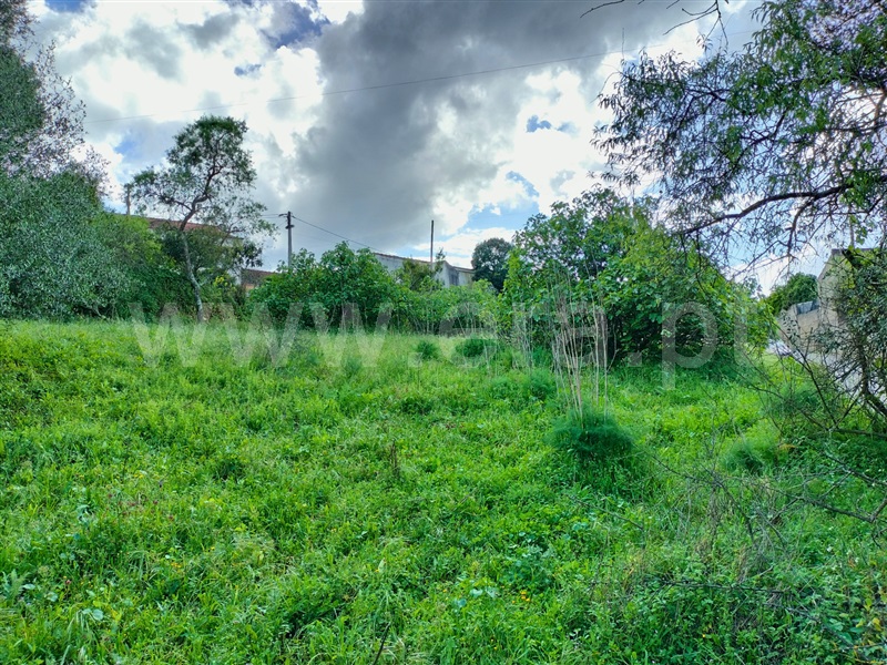 Terreno  com Urbano Torres Novas, Pedrogão - 1476829 - 3