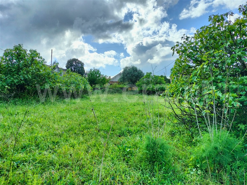 Terreno  com Urbano Torres Novas, Pedrogão - 1476829 - 4