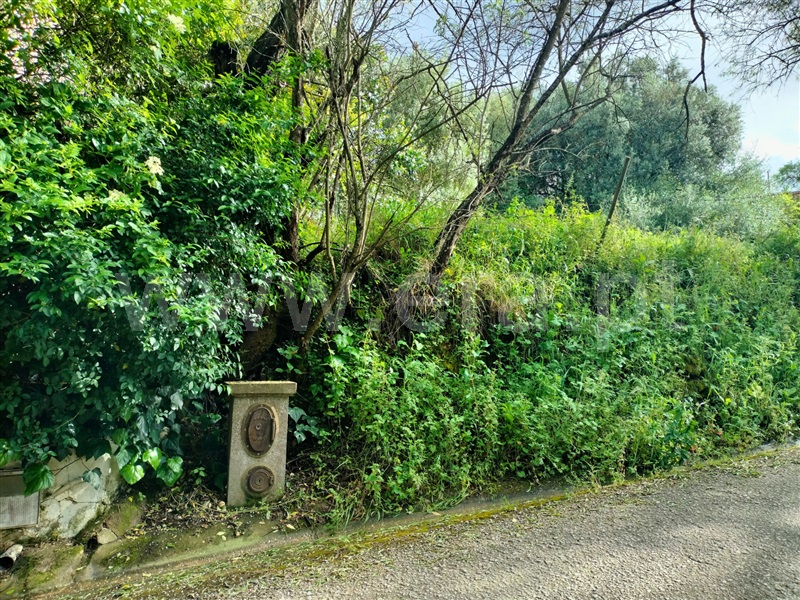 Terreno  com Urbano Torres Novas, Pedrogão - 1476829 - 6