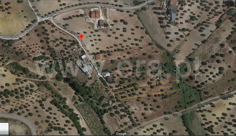 Terreno / Torres Novas, Torres Novas (Santa Maria, Salvador e Santiago)