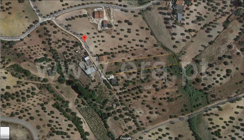 Terreno / Torres Novas, Torres Novas (Santa Maria, Salvador e Santiago)