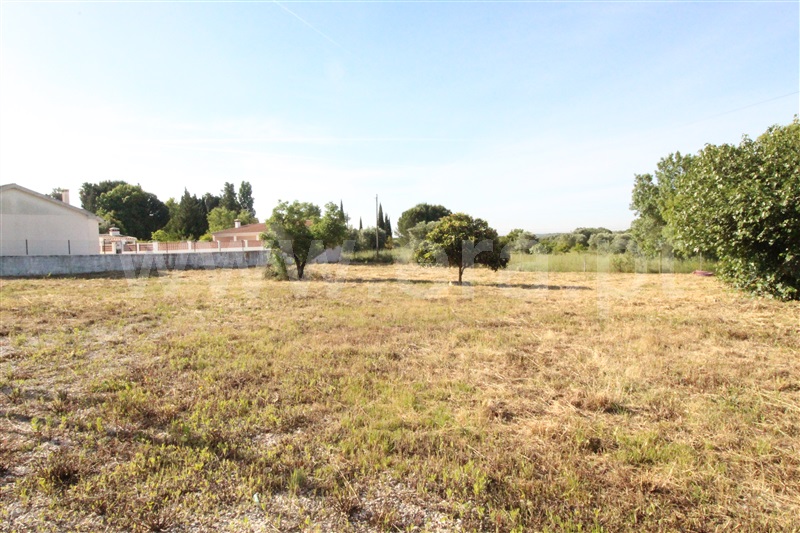 Terreno / Torres Novas, Torres Novas (Santa Maria, Salvador e Santiago)